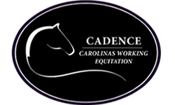 Cadence Carolinas Working Equitation