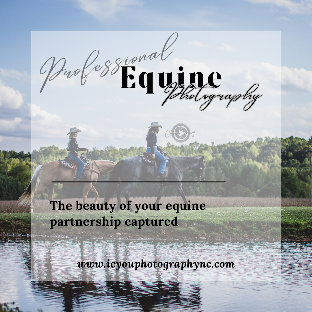 Profession Equine Photographer - IC You Photography NC