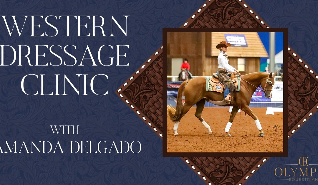 Intro to Western Dressage Clinic