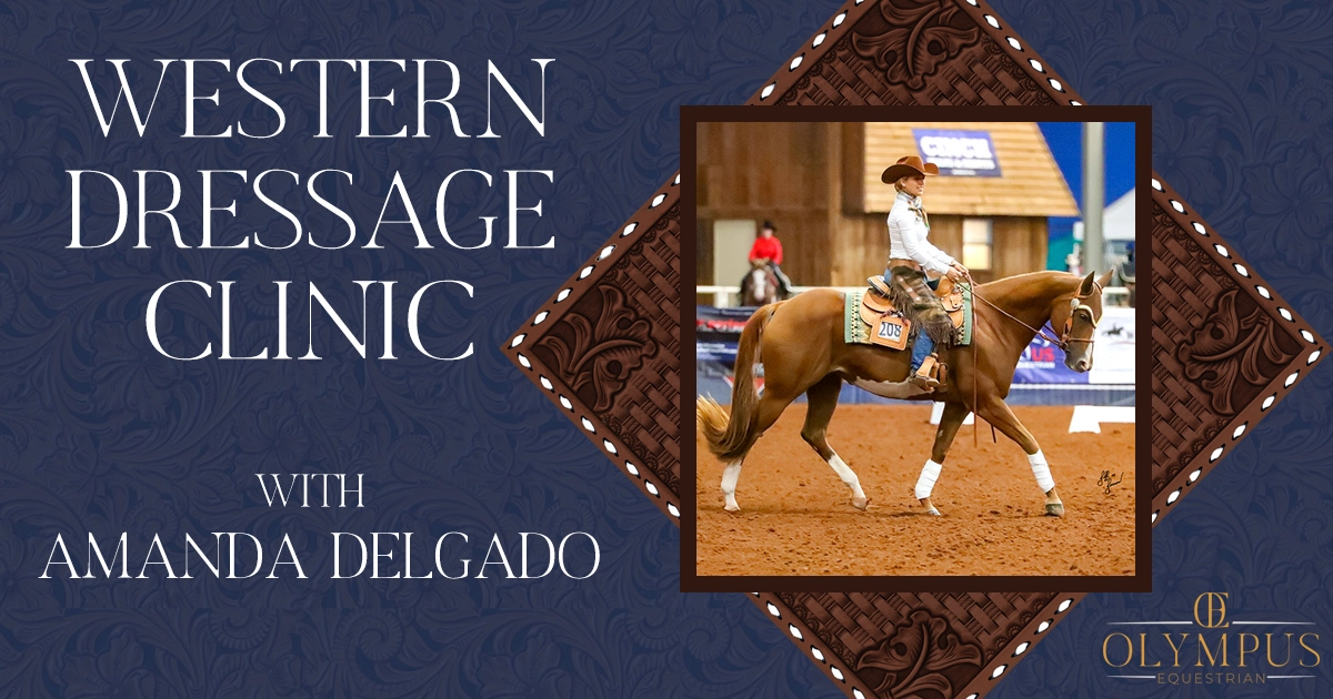 Western Dressage with Amanda Delgado of Olympus Equestrian