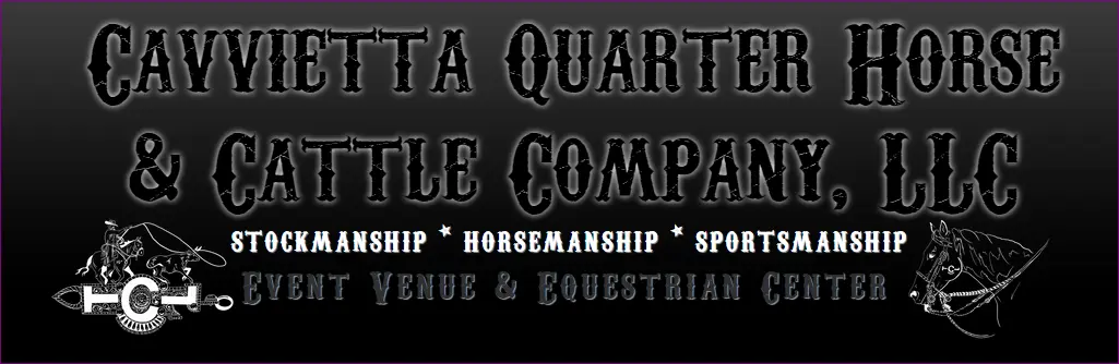 Cavvietta Quarter Horse & Cattle Company